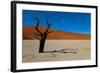 Namibia Desert-DR_Flash-Framed Photographic Print