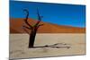 Namibia Desert-DR_Flash-Mounted Photographic Print