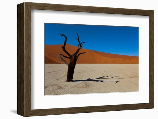 Namibia Desert-DR_Flash-Framed Photographic Print