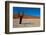 Namibia Desert-DR_Flash-Framed Photographic Print