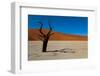 Namibia Desert-DR_Flash-Framed Photographic Print