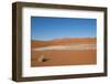 Namibia Desert-DR_Flash-Framed Photographic Print