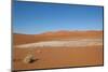 Namibia Desert-DR_Flash-Mounted Photographic Print