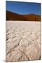 Namibia Desert-DR_Flash-Mounted Photographic Print