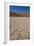 Namibia Desert-DR_Flash-Framed Photographic Print