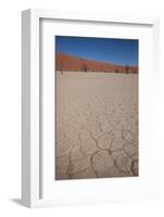 Namibia Desert-DR_Flash-Framed Photographic Print