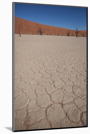 Namibia Desert-DR_Flash-Mounted Photographic Print