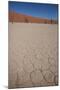 Namibia Desert-DR_Flash-Mounted Photographic Print