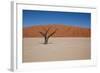 Namibia Desert-DR_Flash-Framed Photographic Print