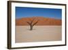 Namibia Desert-DR_Flash-Framed Photographic Print