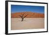 Namibia Desert-DR_Flash-Framed Photographic Print