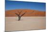 Namibia Desert-DR_Flash-Mounted Photographic Print