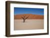 Namibia Desert-DR_Flash-Framed Photographic Print