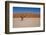 Namibia Desert-DR_Flash-Framed Photographic Print