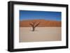 Namibia Desert-DR_Flash-Framed Photographic Print