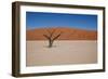 Namibia Desert-DR_Flash-Framed Photographic Print