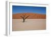 Namibia Desert-DR_Flash-Framed Photographic Print