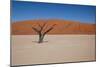 Namibia Desert-DR_Flash-Mounted Photographic Print