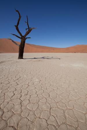 https://imgc.allpostersimages.com/img/posters/namibia-desert_u-L-Q104KBK0.jpg?artPerspective=n
