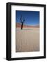 Namibia Desert-DR_Flash-Framed Photographic Print