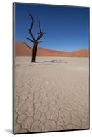 Namibia Desert-DR_Flash-Mounted Photographic Print