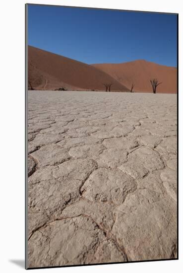 Namibia Desert-DR_Flash-Mounted Photographic Print