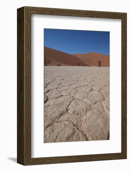 Namibia Desert-DR_Flash-Framed Photographic Print