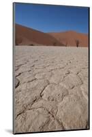 Namibia Desert-DR_Flash-Mounted Photographic Print