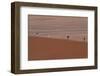 Namibia Desert-DR_Flash-Framed Photographic Print