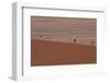 Namibia Desert-DR_Flash-Framed Photographic Print