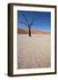 Namibia Desert-DR_Flash-Framed Photographic Print