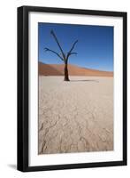 Namibia Desert-DR_Flash-Framed Photographic Print