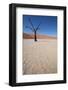 Namibia Desert-DR_Flash-Framed Photographic Print