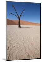 Namibia Desert-DR_Flash-Mounted Photographic Print