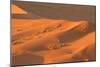 Namibia Desert-DR_Flash-Mounted Photographic Print