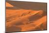 Namibia Desert-DR_Flash-Mounted Photographic Print