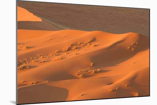 Namibia Desert-DR_Flash-Mounted Photographic Print