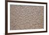 Namibia Desert-DR_Flash-Framed Photographic Print