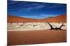 Namibia Desert-MJO Photo-Mounted Photographic Print