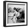 Namibia Elephants-Nina Papiorek-Framed Giclee Print