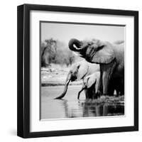 Namibia Elephants-Nina Papiorek-Framed Giclee Print