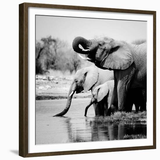 Namibia Elephants-Nina Papiorek-Framed Giclee Print