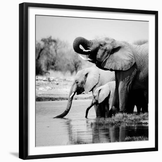 Namibia Elephants-Nina Papiorek-Framed Giclee Print