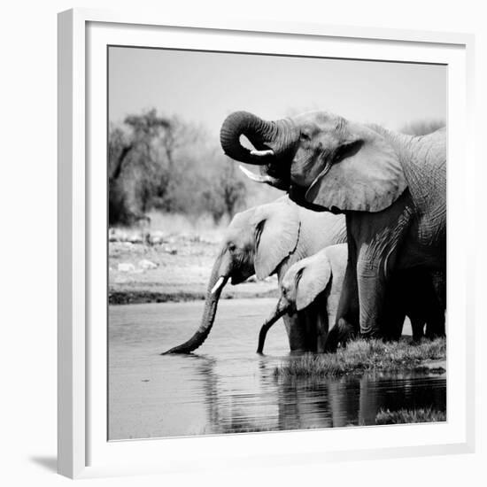 Namibia Elephants-Nina Papiorek-Framed Giclee Print