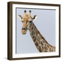 Namibia, Etosha, Klein Namutoni Waterhole. Portrait of a Giraffe-Jaynes Gallery-Framed Photographic Print