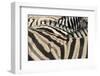 Namibia, Etosha National Park. Close-up of zebras.-Jaynes Gallery-Framed Photographic Print