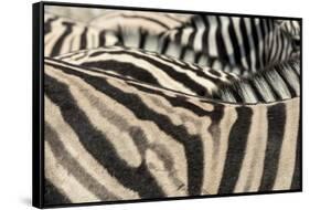 Namibia, Etosha National Park. Close-up of zebras.-Jaynes Gallery-Framed Stretched Canvas