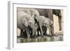 Namibia, Etosha National Park. Elephants Drinking at Waterhole-Wendy Kaveney-Framed Photographic Print