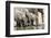 Namibia, Etosha National Park. Elephants Drinking at Waterhole-Wendy Kaveney-Framed Photographic Print