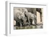 Namibia, Etosha National Park. Elephants Drinking at Waterhole-Wendy Kaveney-Framed Photographic Print